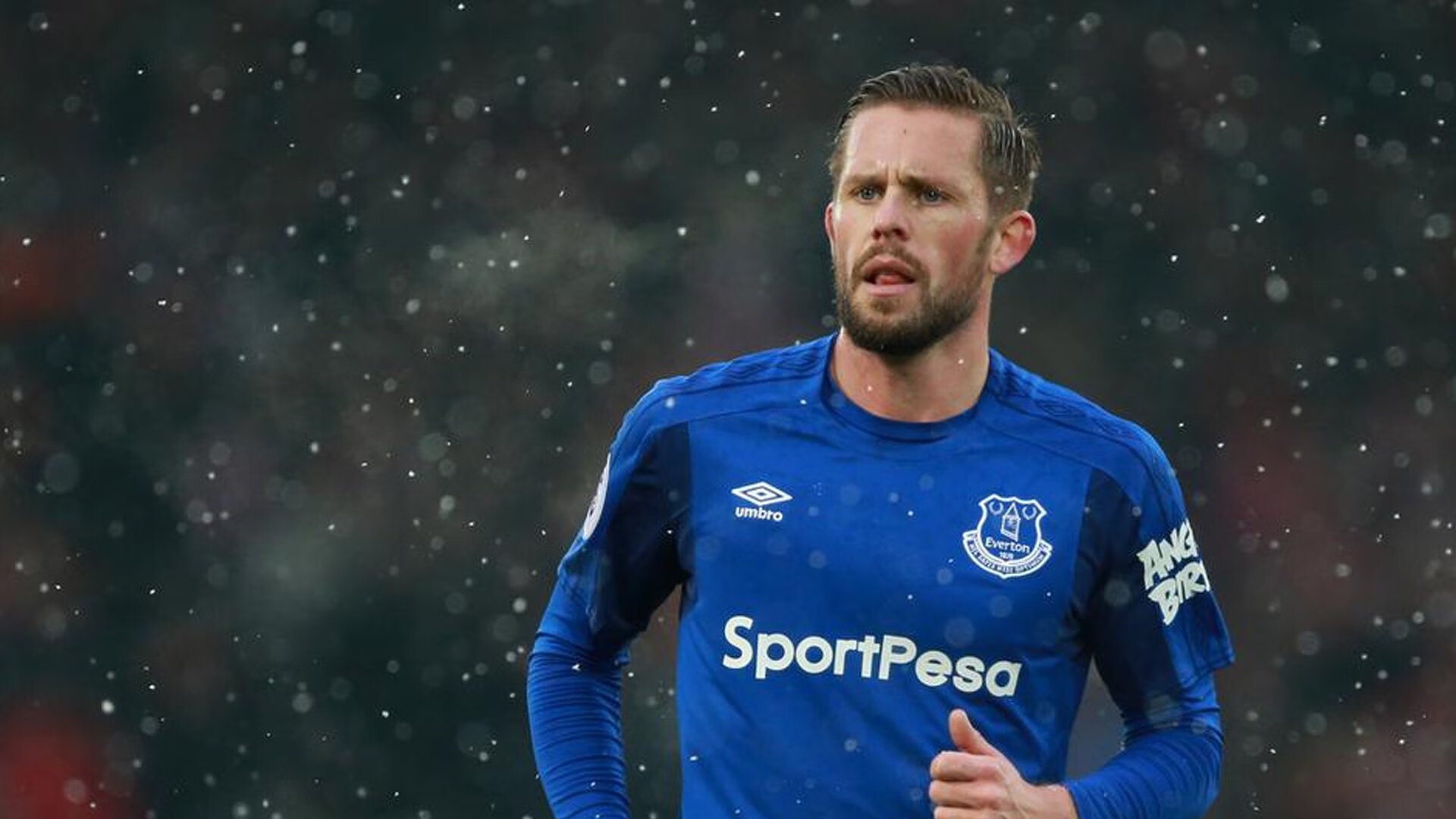 巨星群像：每个人都在自己的巅峰！，巨星star